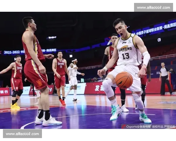 CBA最新赛季战报解析各队表现与季后赛前景预测